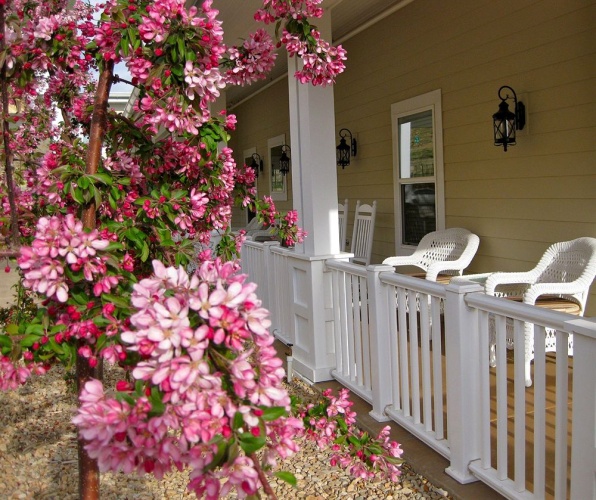 Wine Country Inn Palisade photo 21