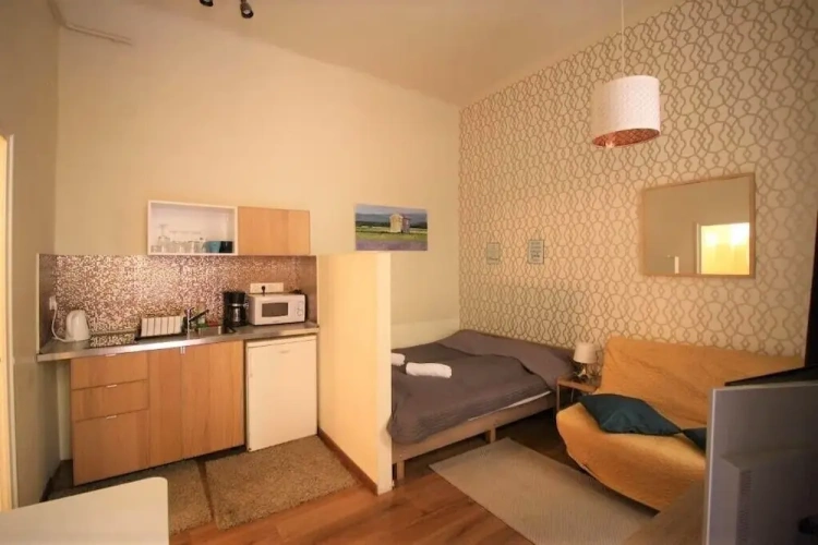 1 Bedroom Apartment