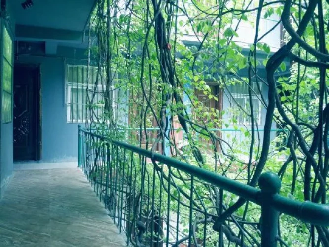 Outside