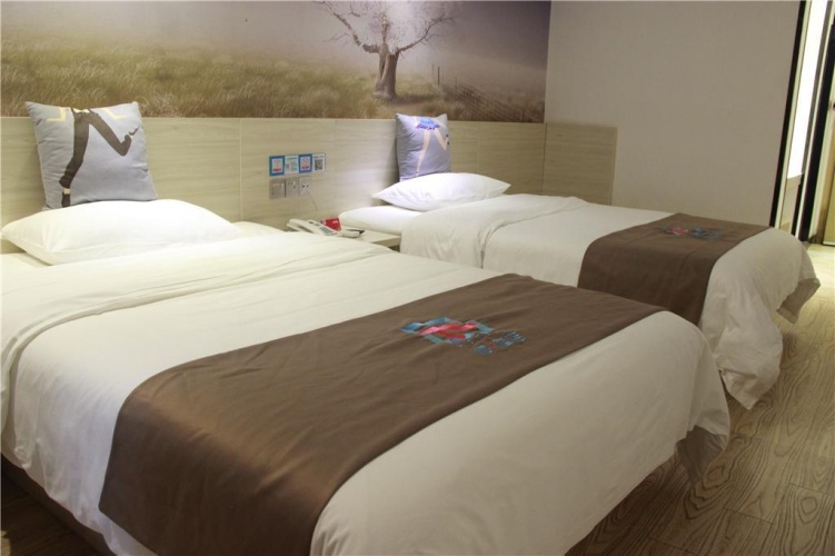 Standard Twin room with city view