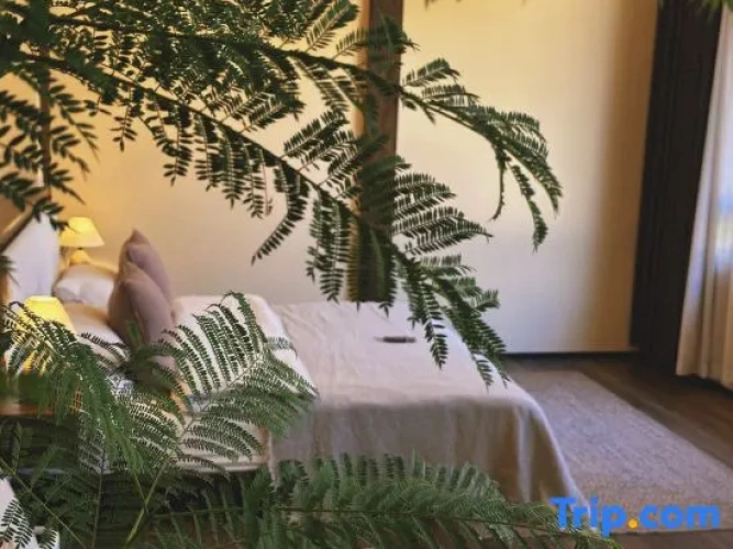 Deluxe Double Suite