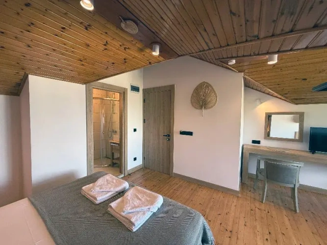 Premium Double room