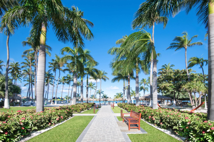 Holiday Inn Resort Aruba photo 35