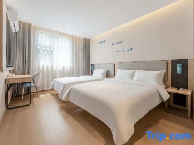 Single Suite