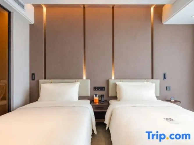 Executive Twin room