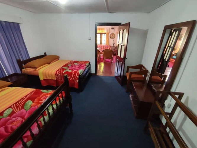Standard Quadruple Family Basement room