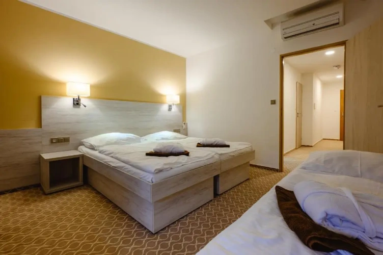 Standard Double room with balcony and with view