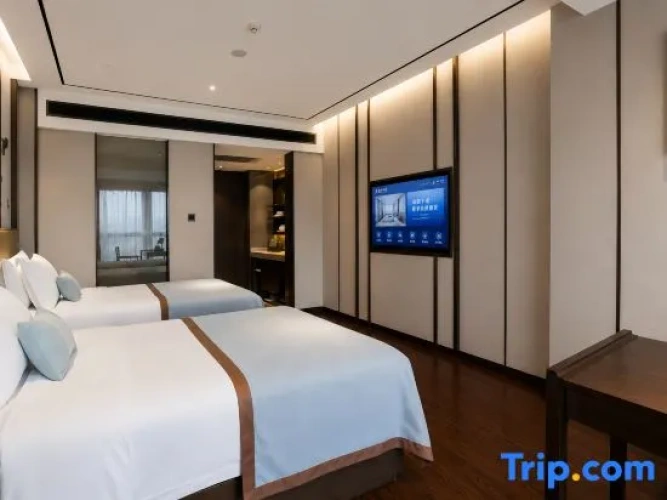 Executive Twin room