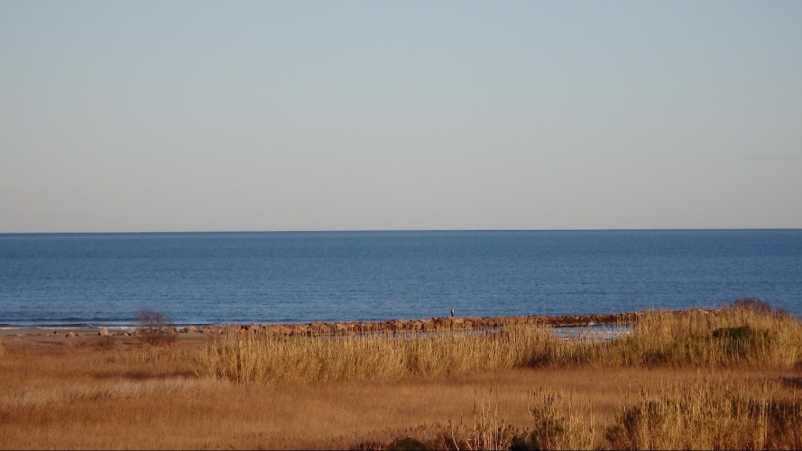 Flag Hotel Valencia Florazar photo 22