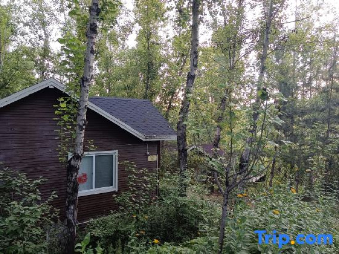 Qingguo Tree House Camping Hotel