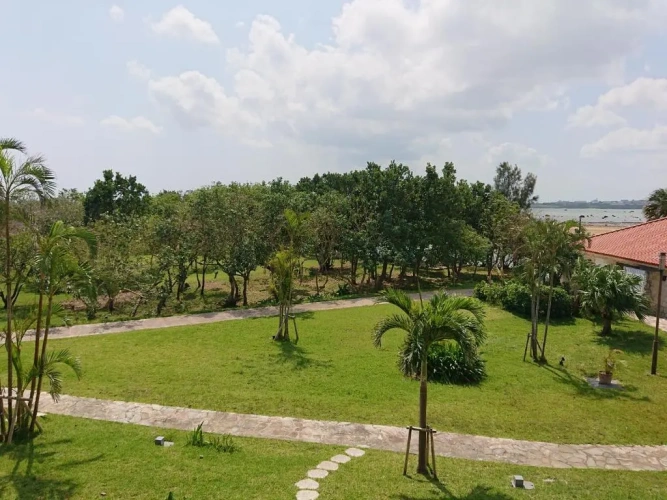 Standard Twin room with garden view