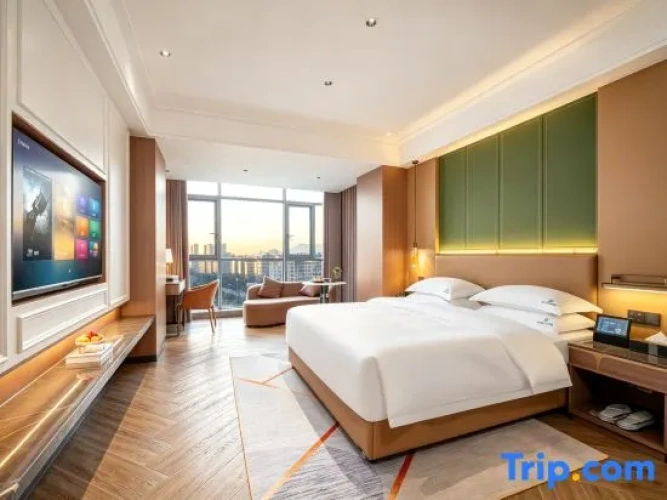 Standard Double room with city view