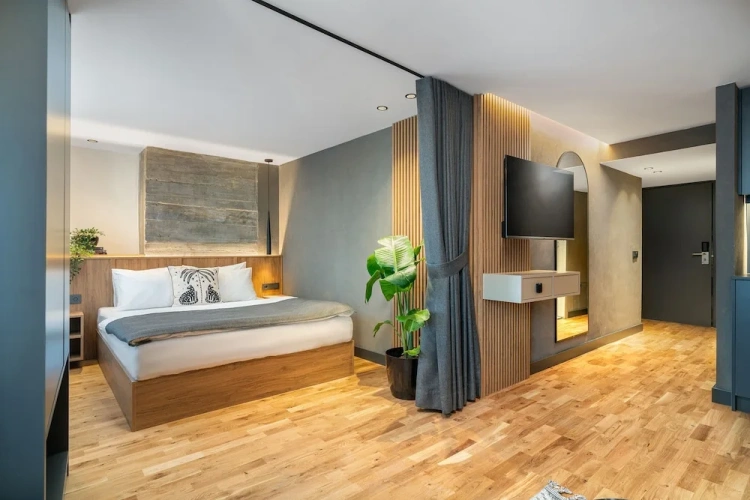 Executive Double Apartment with city view