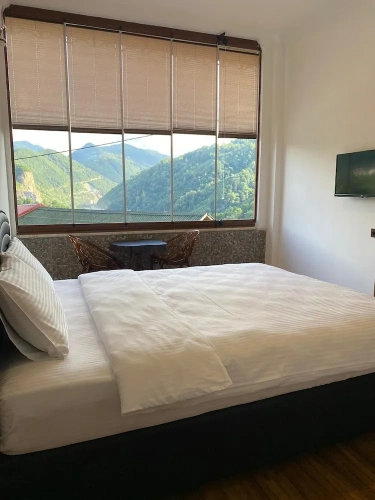 1 Bedroom Economy Double room with mountain view