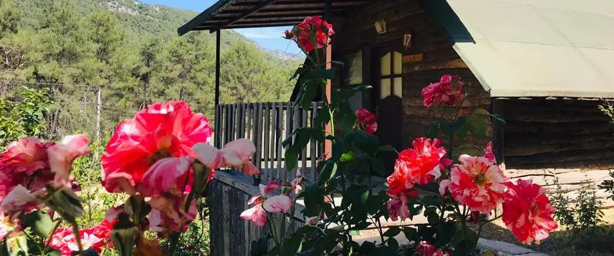Olympos Otantik Pansiyon