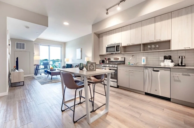 Luxury Apartment