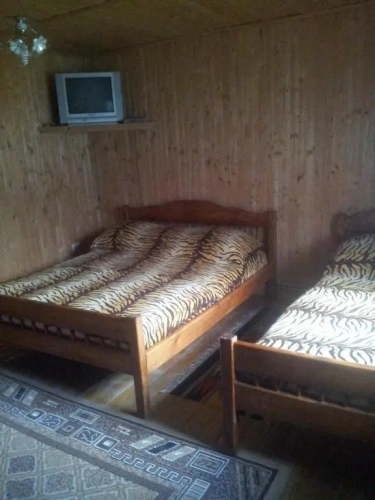 Standard Quadruple room with view