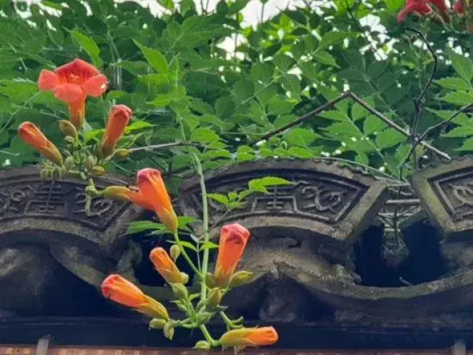 Suxin Hotel