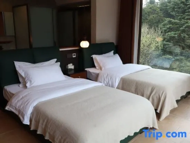 Standard Twin room with view