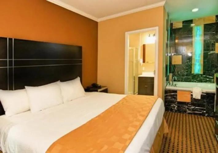 1 Bedroom Suite