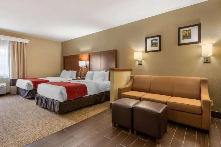 Standard Double room