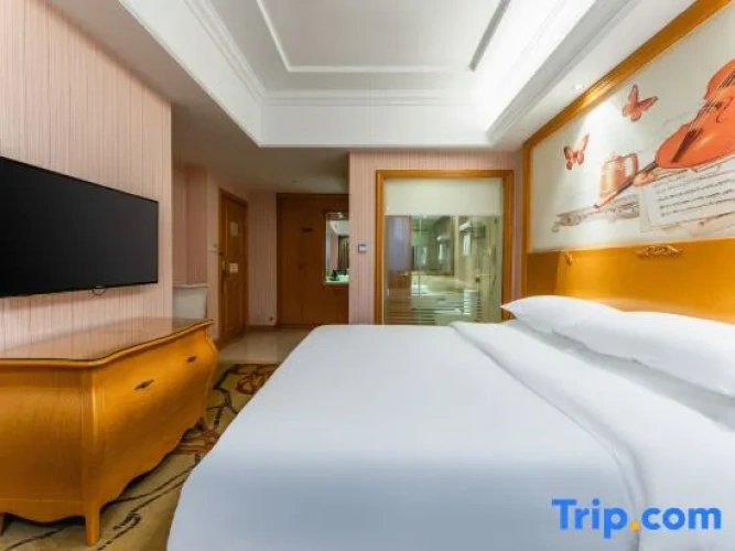 Deluxe Double room with street view