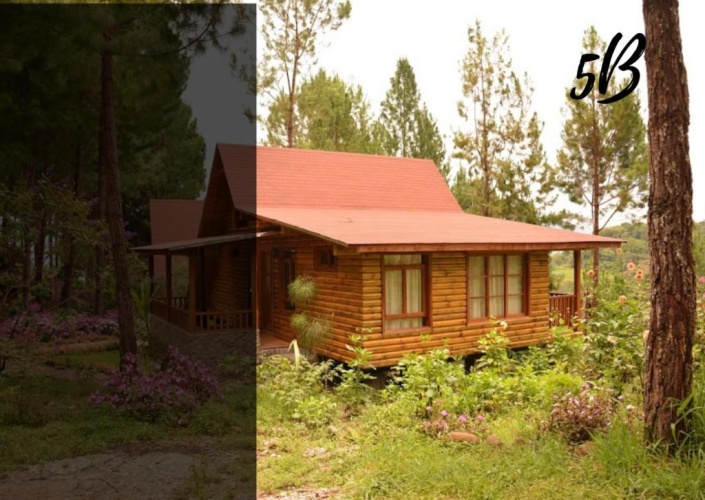 Bungalow