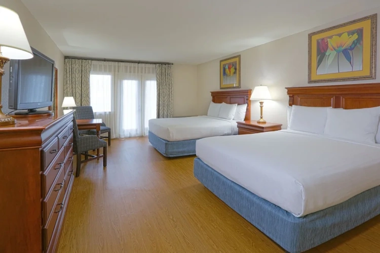 Deluxe Double room with park view