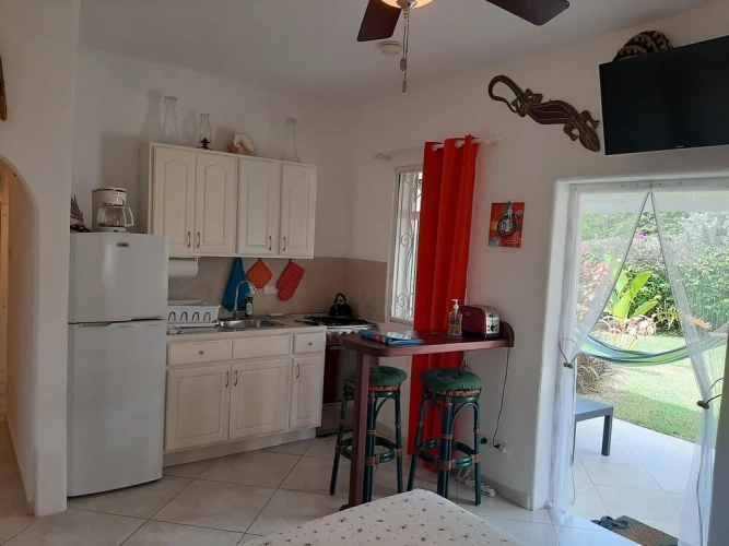 Double Studio with garden view