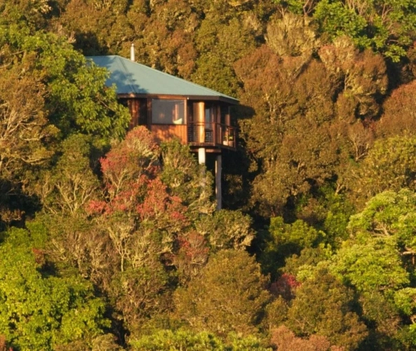 Cottage
