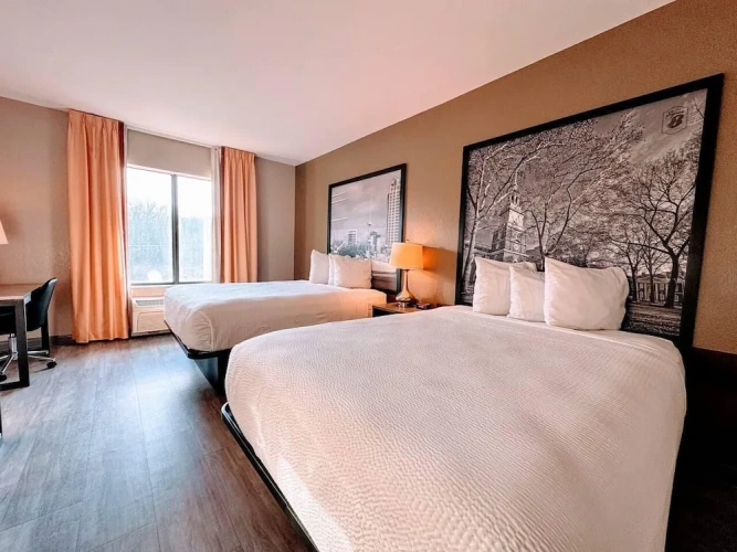 Guest rooms