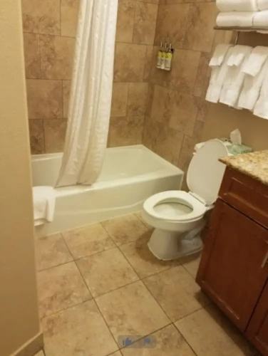 Quadruple Suite