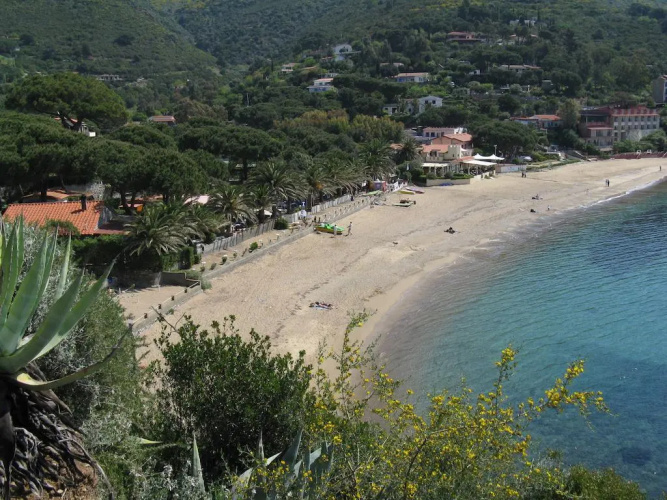 Gli Oleandri