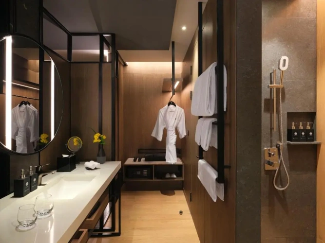 Deluxe Twin room with city view