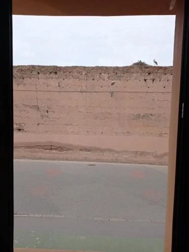 Stork Marrakech luxury Hostel