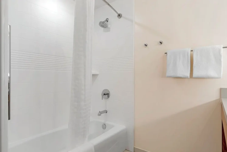 1 Bedroom Suite