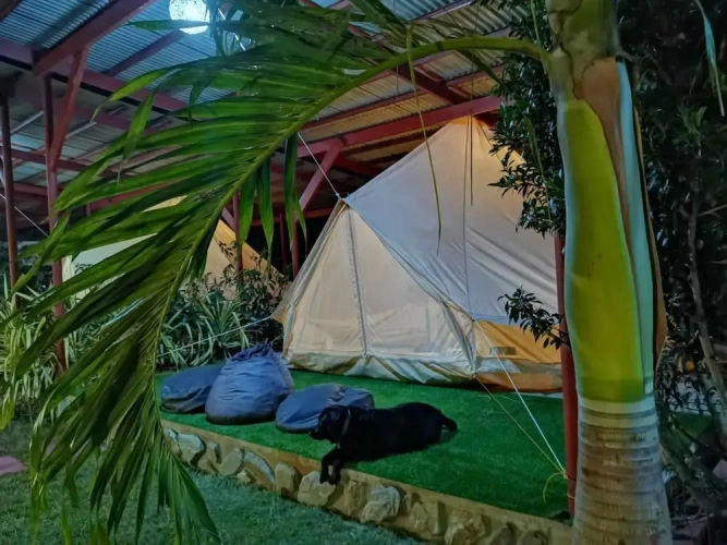 Bed in Dorm with garden view