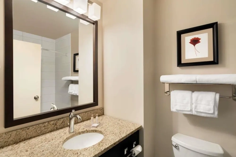 1 Bedroom Suite