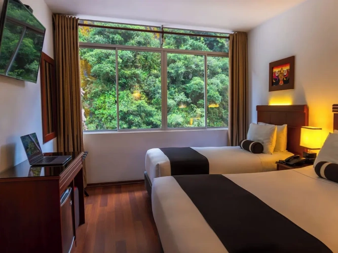 Standard Twin room with river view