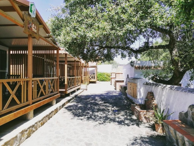 Bungalow
