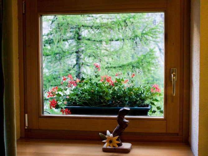 Standard Triple room with view