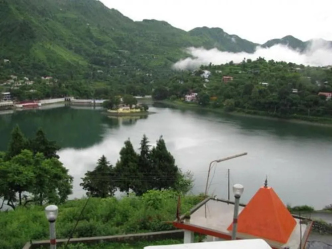 Tal Paradise