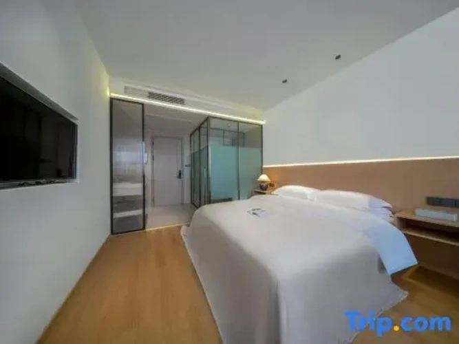 Standard Double room with city view
