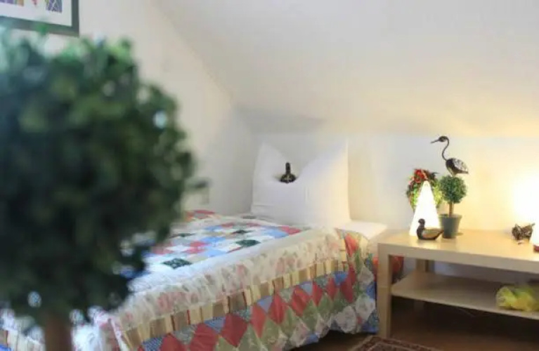 Hotel Grüner Baum