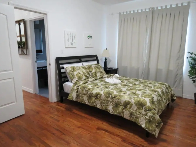 1 Bedroom Apartment