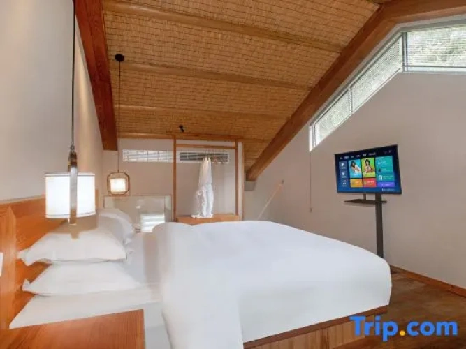 Luxury Family Suite