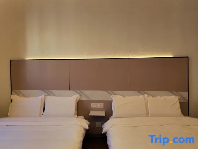 Economy Twin Suite