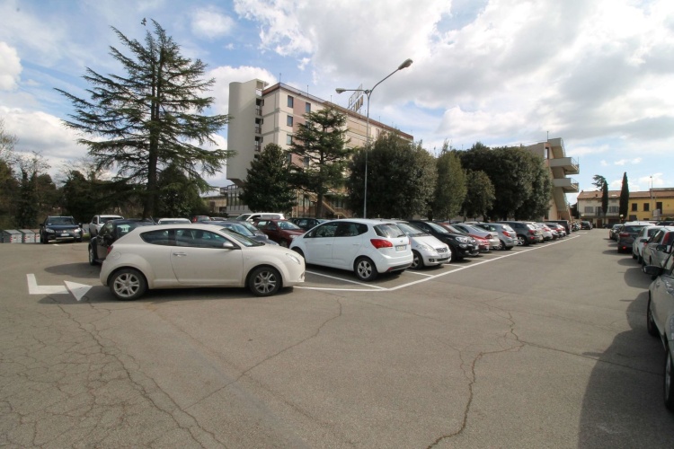 Hotel Minerva photo 24