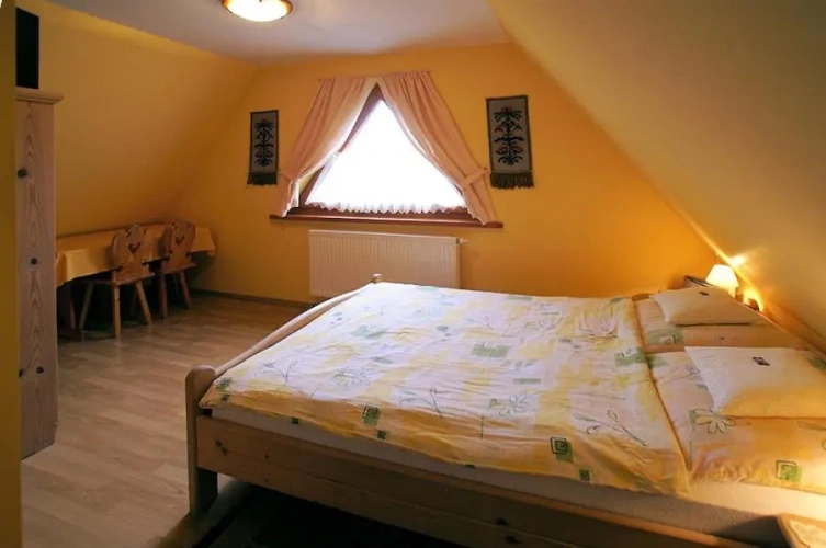 Standard Double room with mountain view