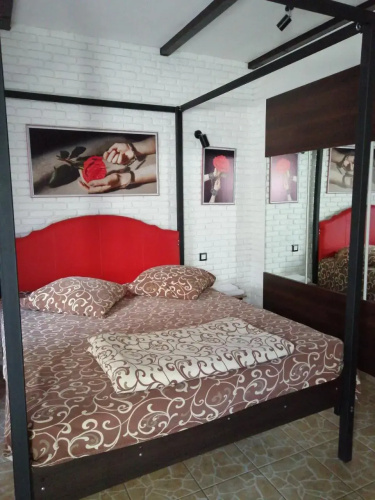 Guest Yard Vivat